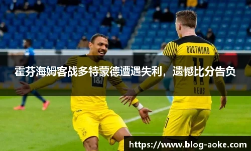 霍芬海姆客战多特蒙德遭遇失利，遗憾比分告负